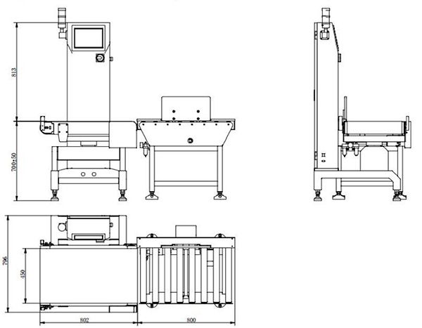 WS-N450 Check Weigher-High Accuracy Fi